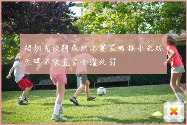 绍切克谈阿森纳比赛策略称小犯规无碍不敢直言会遭处罚